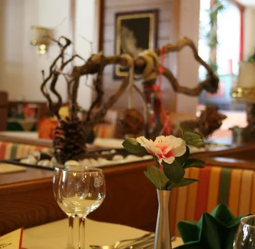 Szálloda Wanderhotel Gruener Baum 3*