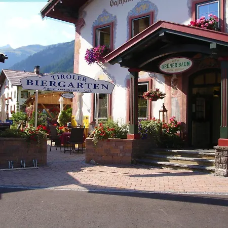 Wanderhotel Gruener Baum 3* Bach (Tyrol)
