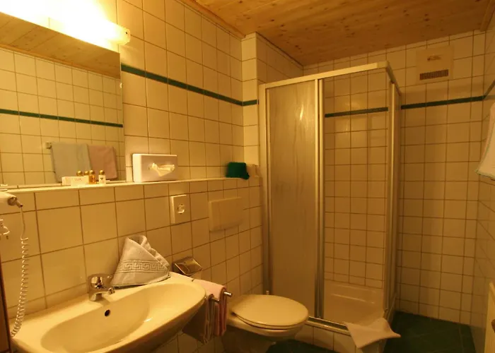 Wanderhotel Gruener Baum Hotel