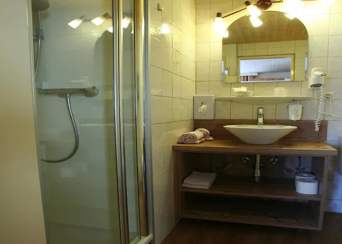 Wanderhotel Gruener Baum Bach (Tyrol)